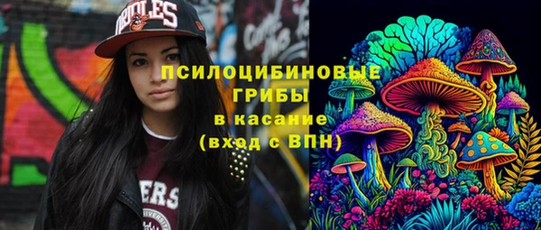 гашик Алексеевка