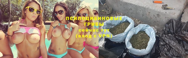 гашик Алексеевка