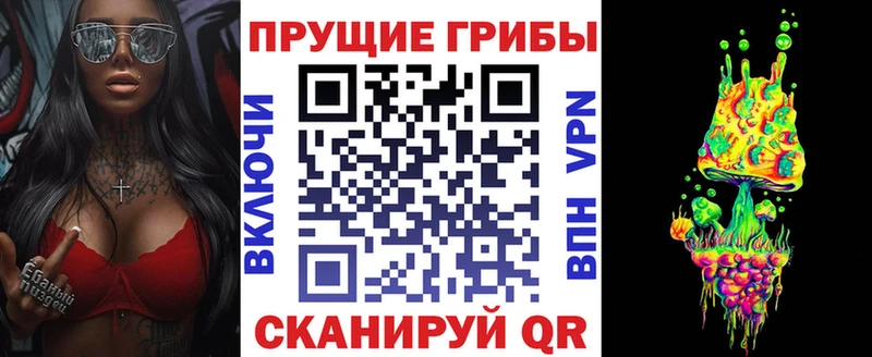 мега зеркало  что такое наркотик  Ардатов  Галлюциногенные грибы мухоморы 